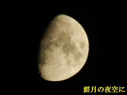 2022-11・04　霜月の夜空に・・・ (1).JPG