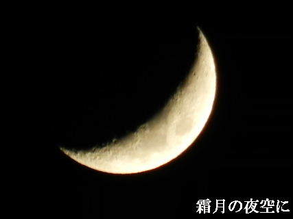 2022-11・28　霜月の夜空に・・・ (1).JPG