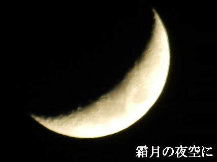 2022-11・28　霜月の夜空に・・・ (2).JPG
