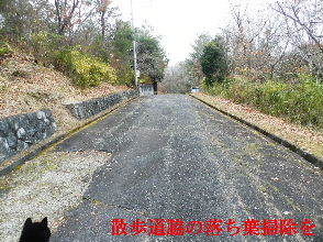 2022-12・21　散歩道脇の落ち葉掃除を・・・ (1).JPG