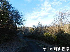 2023-01・05　今日の郷山模様・・・ (4).JPG
