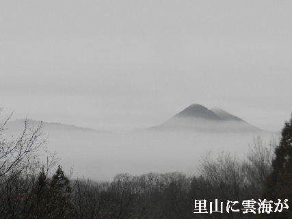 2023-01・14　里山に雲海が・・・ (1).JPG