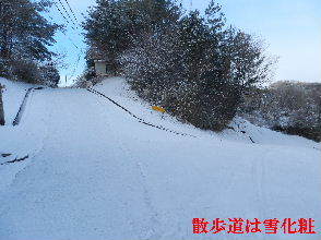 2023-01・23　雪化粧の里山模様・・・ (9).JPG