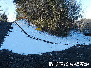2023-01・26　今日の里山には残雪が・・・ (4).JPG
