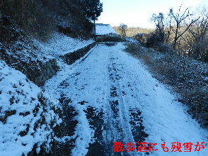 2023-01・26　今日の里山には残雪が・・・ (5).JPG