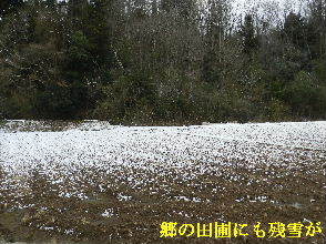 2023-01・26　今日の里山には残雪が・・・ (6).JPG
