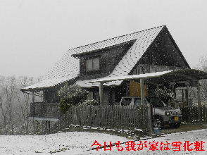 2023-01・27　雪化粧の郷山模様・・・ (3).JPG