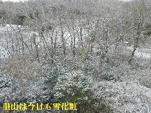 2023-01・28　雪化粧の郷山模様・・・ (10).JPG