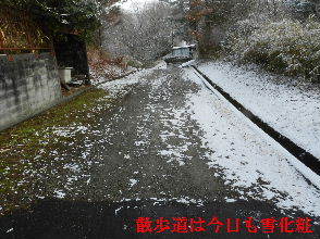 2023-01・28　雪化粧の郷山模様・・・ (2).JPG
