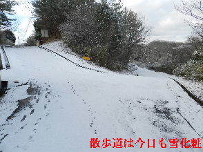 2023-01・28　雪化粧の郷山模様・・・ (4).JPG