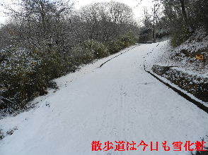 2023-01・28　雪化粧の郷山模様・・・ (5).JPG