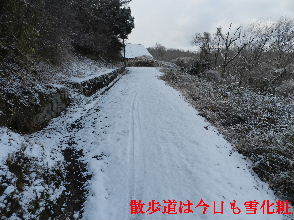 2023-01・28　雪化粧の郷山模様・・・ (6).JPG
