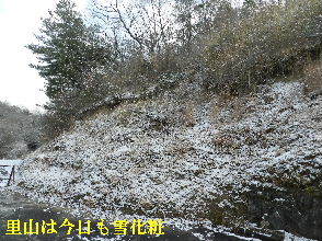2023-01・28　雪化粧の郷山模様・・・ (8).JPG