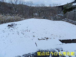 2023-01・28　雪化粧の郷山模様・・・ (9).JPG