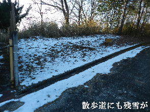 2023-01・29　郷山の残雪模様・・・ (2).JPG