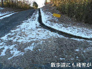 2023-01・29　郷山の残雪模様・・・ (3).JPG