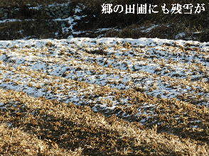 2023-01・29　郷山の残雪模様・・・ (6).JPG