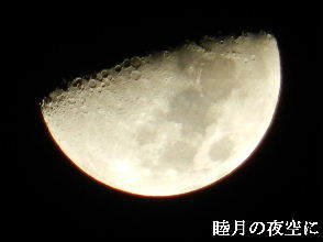 2023-01・30　睦月の空に輝く月を・・・ (2).JPG