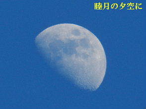 2023-01・30　睦月の空に輝く月を・・・ (3).JPG