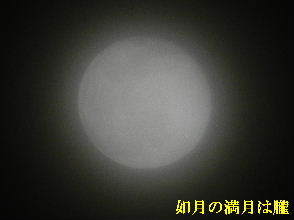 2023-02・06　如月の満月は朧・・・ (1).JPG
