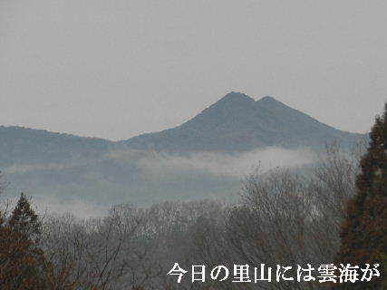 2023-02・07　里山に雲海が・・・ (1).JPG