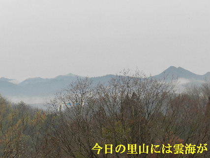 2023-02・07　里山に雲海が・・・ (2).JPG