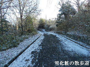 2023-02・21　雪化粧の散歩道・・・ (2).JPG