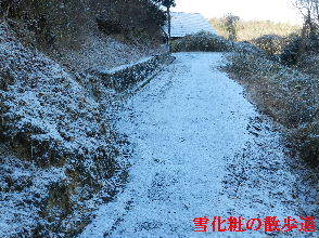 2023-02・21　雪化粧の散歩道・・・ (5).JPG