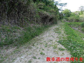 2023-0512　散歩道の草刈りを・・・ (1).JPG