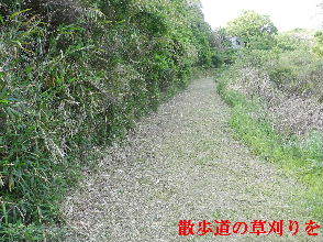 2023-0512　散歩道の草刈りを・・・ (2).JPG