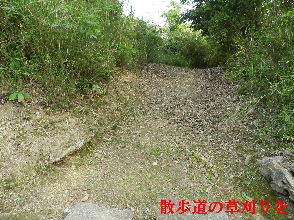 2023-0512　散歩道の草刈りを・・・ (6).JPG