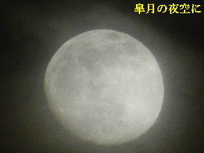 2023-05・03　皐月の夜空に輝く月 (1).JPG