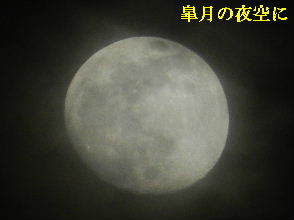 2023-05・03　皐月の夜空に輝く月 (2).JPG