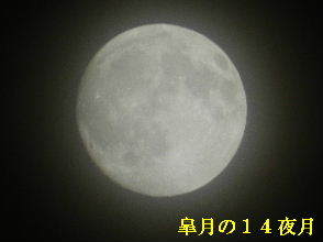 2023-05・04　皐月の１４夜月・・・ (1).JPG