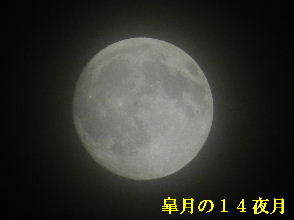 2023-05・04　皐月の１４夜月・・・ (3).JPG