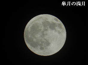 2023-05・05　皐月の夜空に輝く満月を・・・ (2).JPG
